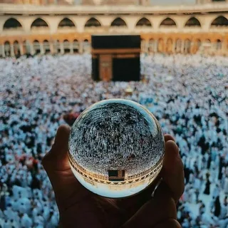 Терпимость - важное качество Терпимость - важное качество