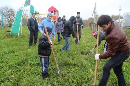 ДУМ РТ приняло участие в акции «Посади свое дерево»