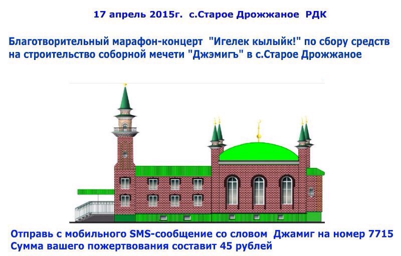 В с. Старое Дрожжаное собирают деньги на Соборную мечеть