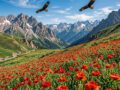 Вопрос одежды мусульманок